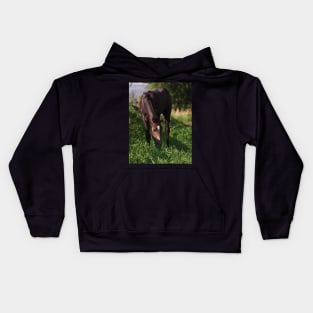 TB COLT Kids Hoodie